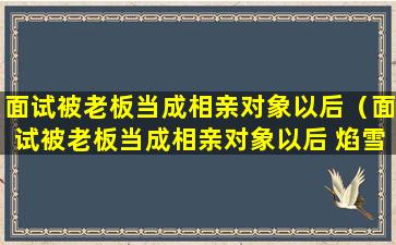 面试被老板当成相亲对象以后（面试被老板当成相亲对象以后 焰雪炎雪百度云盘）